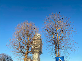 Krokarji se zjutraj zbirajo pod novim kontrolnim stolpom letalisca Nikola Tesla v Beogradu
